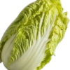 白菜の栄養素と健康効果｜冬の食卓に欠かせない万能野菜
